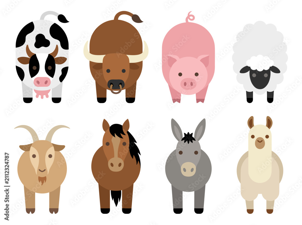 Fototapeta premium Set of eight farm animals in top down view, cow bull pig sheep goat horse donkey and llama, flat vector icons for agricultural themes