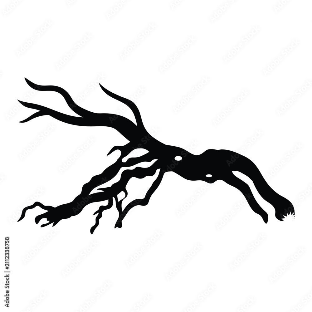 Fototapeta premium Laying Coral silhouette image