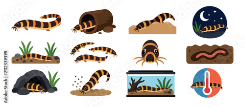 Fotografía Colorful cartoon insect and reptile illustrations set.