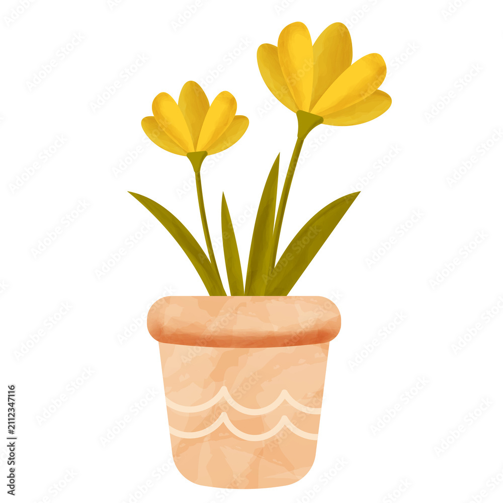 Obraz premium Watercolor Yellow Crocus Potted Plant Illustration