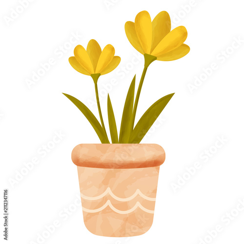 Watercolor Yellow Crocus Potted Plant Illustration