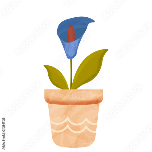 Watercolor Calla Lily Potted Plant Illustration