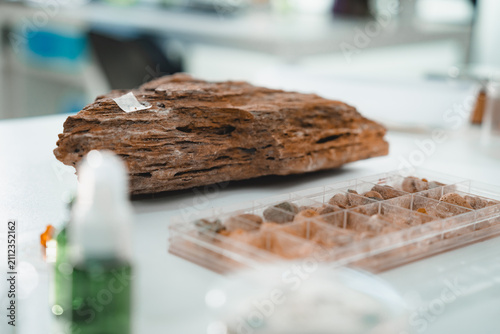 Wood specimen laboratory sample tray research texture decay white bench with plastic container, blurred bottle, natural material study, close up science detail