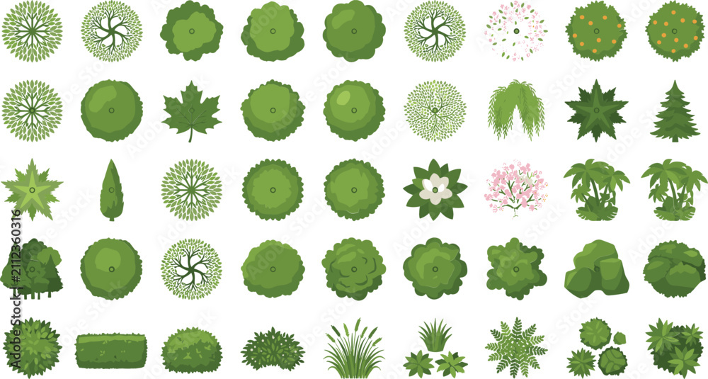 Fototapeta premium Various green trees and shrubs viewed from directly above for landscape design plans