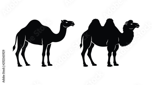 Принти на полотні Camel Silhouettes On White Background Two Views Of Dromedary