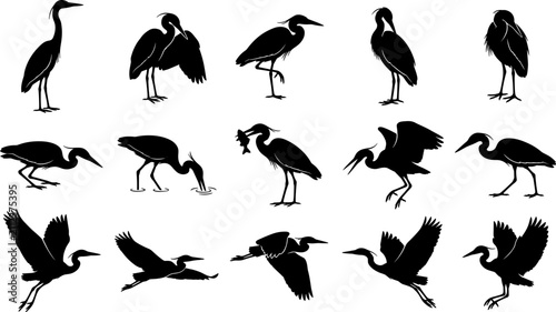 Cuadro en lienzo Silhouette collection of herons and egrets, featuring flying, fishing, and standing poses, ideal for nature wildlife vector illustrations, isolated set