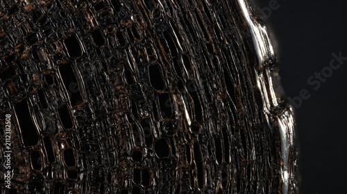 Zoomed perspective of ancient bog oak exhibiting darkened mineralized cells within a dark space