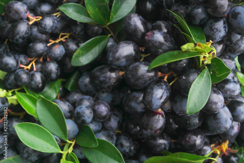 Java plum or black plums as background, Syzygium cumini