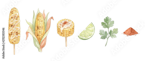 Mexican street corn elote watercolor set with lime, cilantro, and chili powder illustration elements isolated on black background for recipe, menu design, and Latin American food concept.