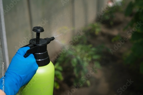 Person using garden sprayer for pest control in home greenhouse  