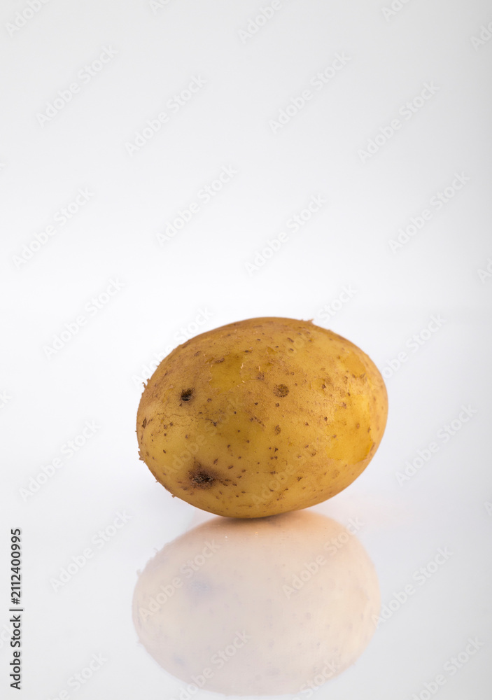 Fototapeta premium Potato isolated on white background with reflection and copyspace.