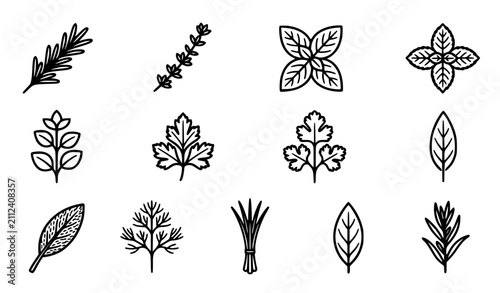 Generic cooking herbs vector icon set with simple bold line art classic complete unbranded rosemary thyme basil mint botanical spices clip art black and white