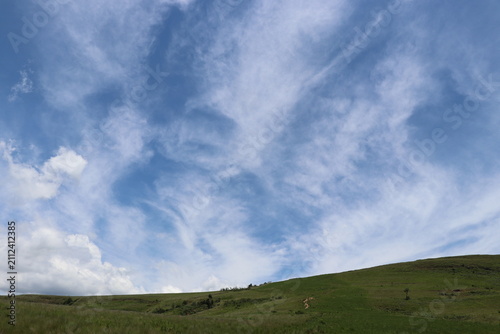 Canvas Print Tall grass beneath sweeping clouds in an open landscape