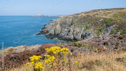 Llam Carw scenic coastal headland near Amlwch Port on the north coast of Anglesey, Wales in July 2026