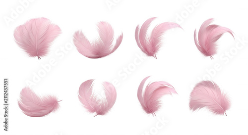 pink feathers floating in various positions on white background decoration or design elements