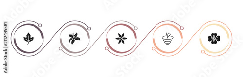Фотография filled nature icons set - maple, lily, sisyrinchium, windstorm