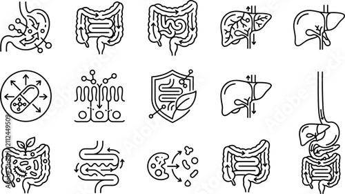 Quadro su tela Human digestive system gastrointestinal tract and gut health line icons set for