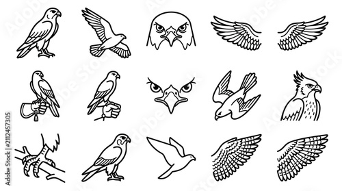 Bird of Prey Icon Set: Falcon, Eagle, Wings, Claws
