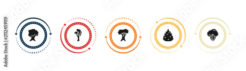 Fotografie filled nature icons set - butternut tree, yellow birch tree, white oak tree, eas