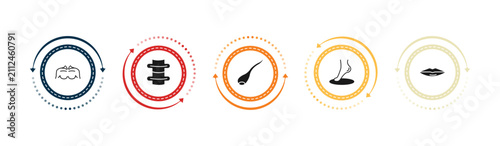 filled human body parts icons set - men chest, spine bone, sperms, foot side view. editable vector for web and mobile ui