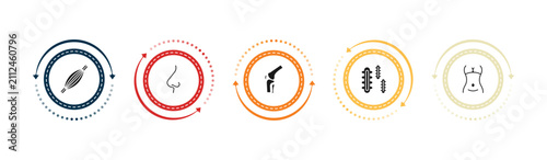 Bild auf Leinwand filled human body parts icons set - human muscle, e side view, kneecap, three bacteria