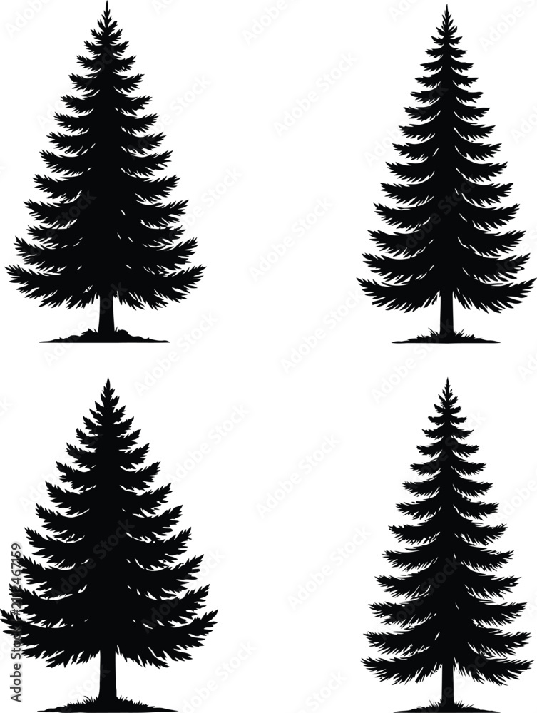Obraz premium Four black silhouette pine trees with detailed needles pine tree silhouette