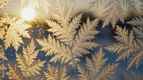 Intricate Frost Patterns on Window Glass Illuminated by Golden Sunrise, Winter Nature Macro Abstract Background for Seasonal Design