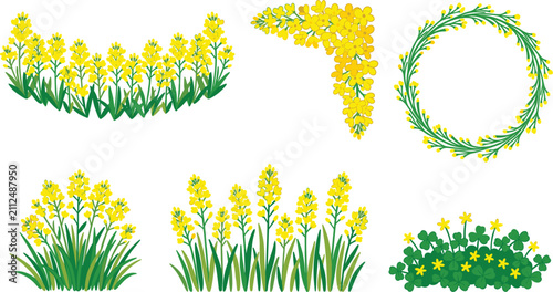 Foto Canola flower vector set featuring yellow rapeseed blooms green stems fields bor