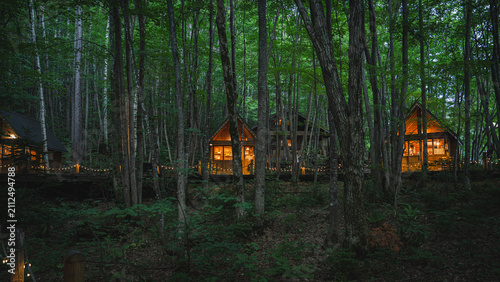 Forest cabin woodland twilight warm light tree retreat, cozy wooden hut glow among dense green foliage, quiet nature lodging scene for travel, camping, vacation, and escape