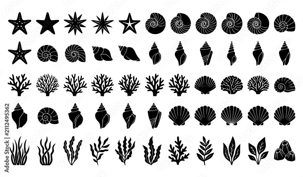 Obraz premium Seashell, Coral and Marine Botanical Silhouette Collection for Coastal and Ocean Nature Illustration Designs