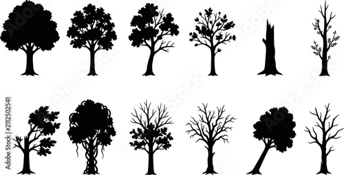 Foto Tree Silhouettes Collection Featuring Bare and Leafed Trees in Various Shapes an