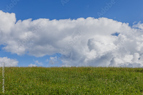 Canvas Print A low green alpine meadow horizon meets a bright blue sky filled by a sculpted white cumulus cloud in a clean late summer landscape