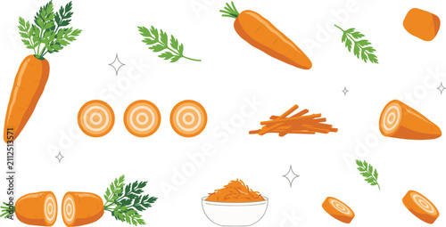 Fotografie Fresh orange carrot botanical vector element set containing whole carrots, slice