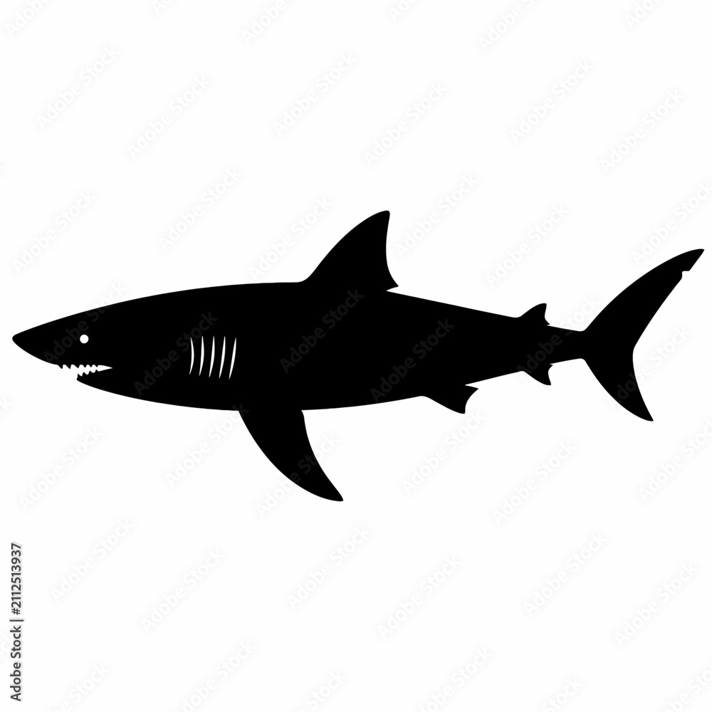 Fototapeta premium Great White Shark Silhouette Vector Illustration Isolated on White Background