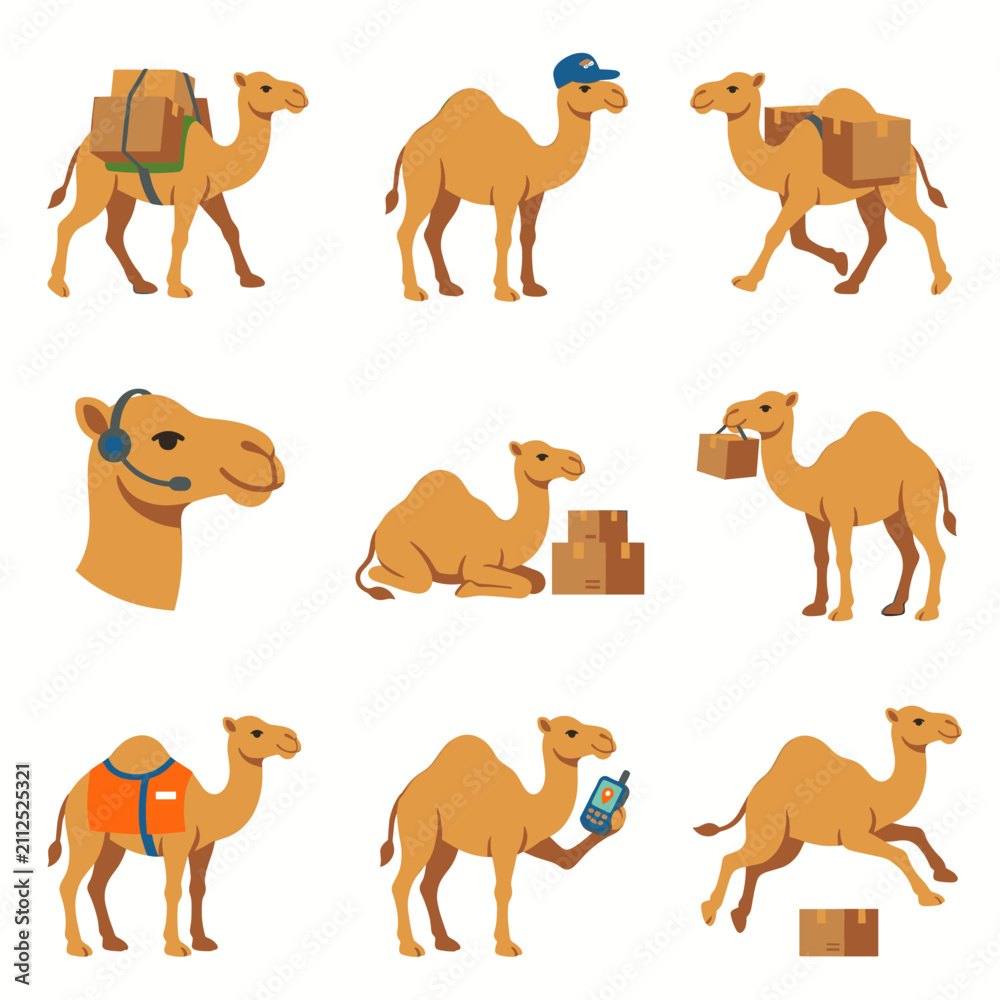 Obraz premium Camel mascot shipping and logistics delivery service vector character set