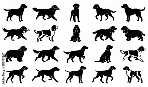 фотографія Retriever and Sporting Dog Silhouette Vector Set Labrador Setter Spaniel Collect