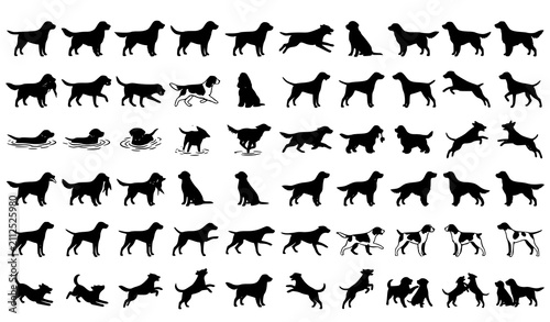 фотографія Retriever and Sporting Dogs Black Silhouette Vector Pack for Veterinary and Pet