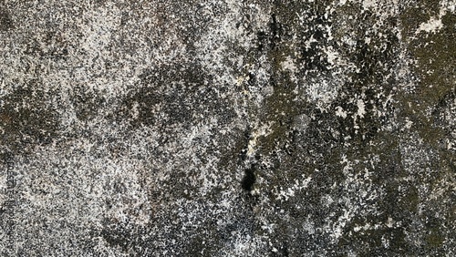 Weathered concrete surface covered with dark lichen and moss growth, creating a natural aged texture pattern