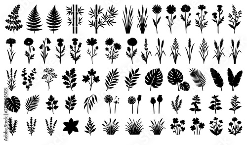 Cuadro en lienzo Black Plant and Flower Silhouettes Vector Set Ferns Bamboo Reeds and Wildflowers