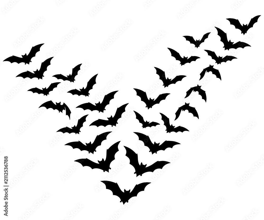 Obraz premium Minimalist Flying Bat Swarm Silhouette V-Shape Flock Pattern