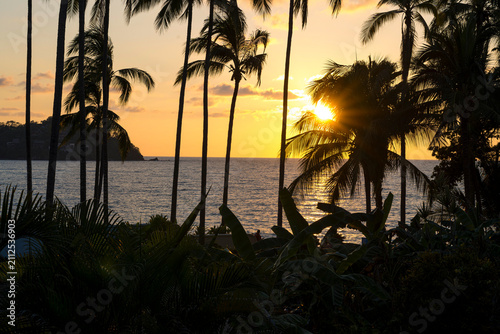 Palm trees silhouetted against dramatic sunset sky in Sayulita, Mexico