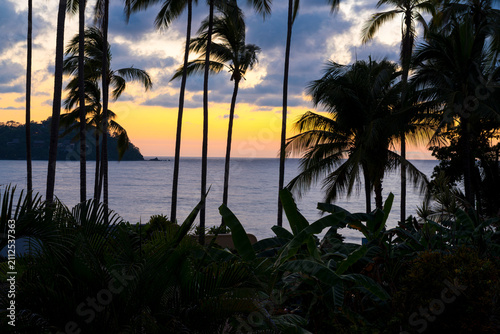 Palm trees silhouetted against colorful sunset sky in Sayulita, Mexico