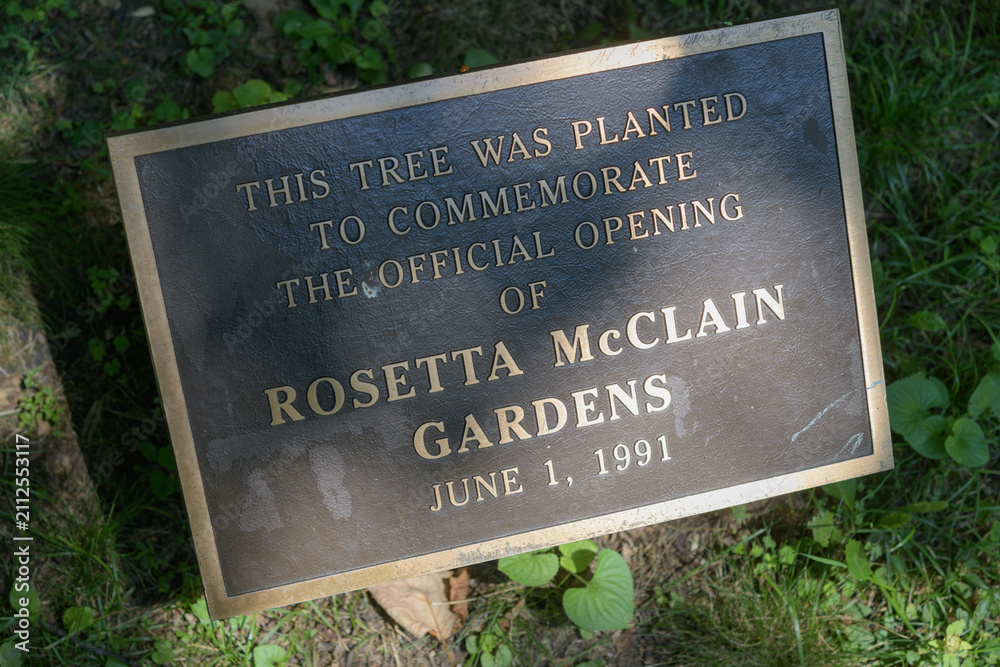 Fototapeta premium plaque at Rosetta McClain Gardens, 5 Glen Everest Rd, Scarborough, Toronto (tulip tree or Liriodendron tulipifera)
