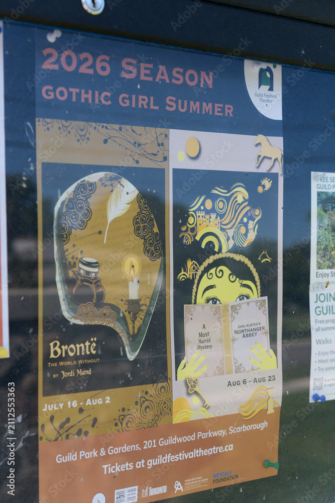 Obraz premium posters in Toronto (Gothic Girl Summer)