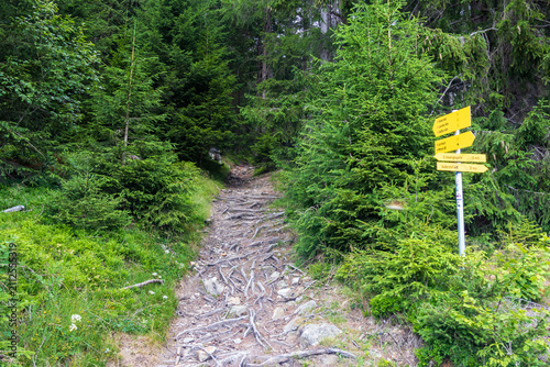 Obraz na płótnie Mountain hiking trail with direction signs in alpine forest, Austria, Tyrol, Bra