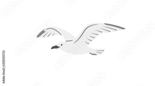 White seagull flying in the air vector illustration