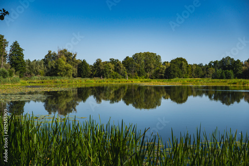 Принти на полотні a meandering lake with calm, mirror-like waters in which the landscape is reflec