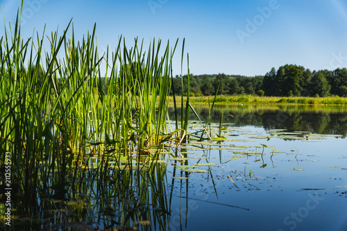 Foto a meandering lake with calm, mirror-like waters in which the landscape is reflec