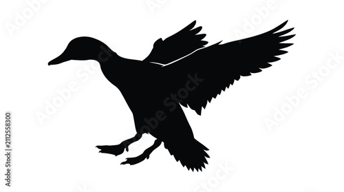 Bild auf Leinwand Duck Silhouette Against A White Background Detailed Feather Texture