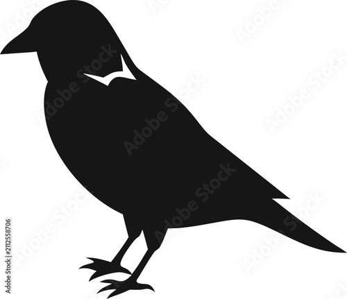 Stylized Bird Silhouette Vector Illustration Isolated on White